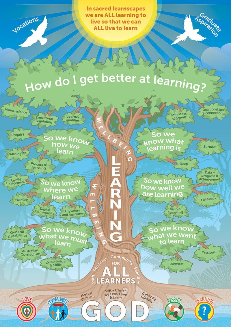 Learning Framework Tree St Joseph s Primary School Cairns